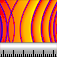 Sonar Ruler